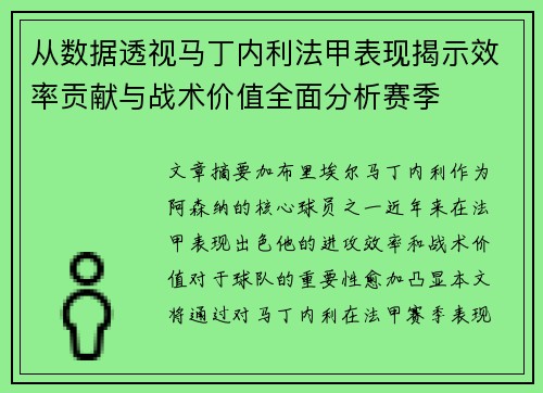 从数据透视马丁内利法甲表现揭示效率贡献与战术价值全面分析赛季